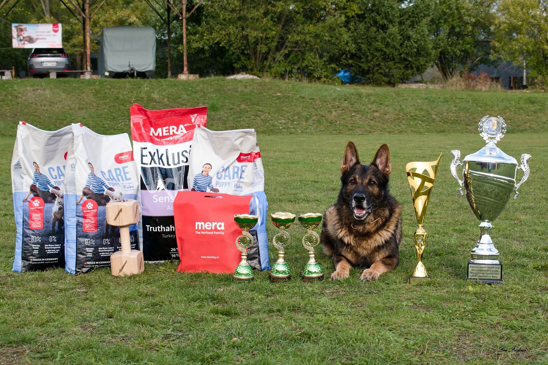 MM MSKS 2025 absolútny víťaz